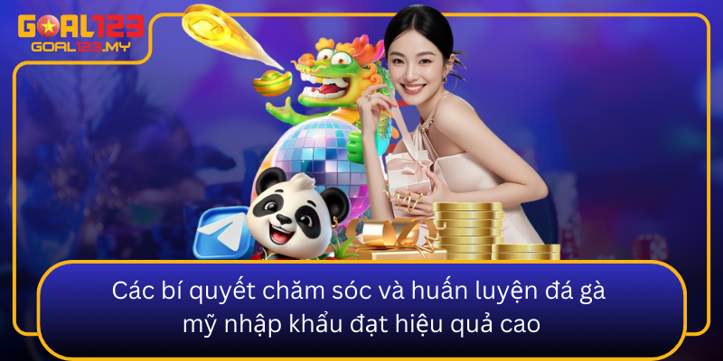 Cac Bi Quyet Cham Soc Va Huan Luyen Da Ga My Nhap Khau Dat Hieu Qua Cao0