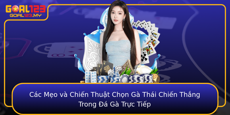 Các Mẹo và Chiến Thuật Chọn Gà Thái Chiến Thắng Trong Đá Gà Trực Tiếp